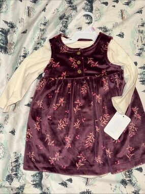 9 Month NEW Carters Velvet Floral Baby Dress Set - Burgundy & Cream